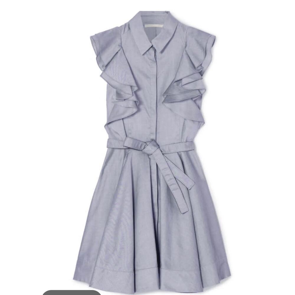 Antonio Berardi Silver Flutter Sleeveless Full Skirt Button Down Mini Dress 46